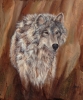 Timber Wolf