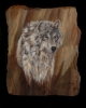 Timber Wolf