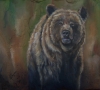 Grizzly Bear